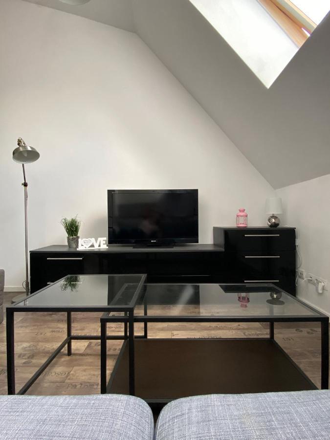 Extra Zone Apartment Poznan